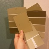Basement paint swatches. Out with teal, in with olive!